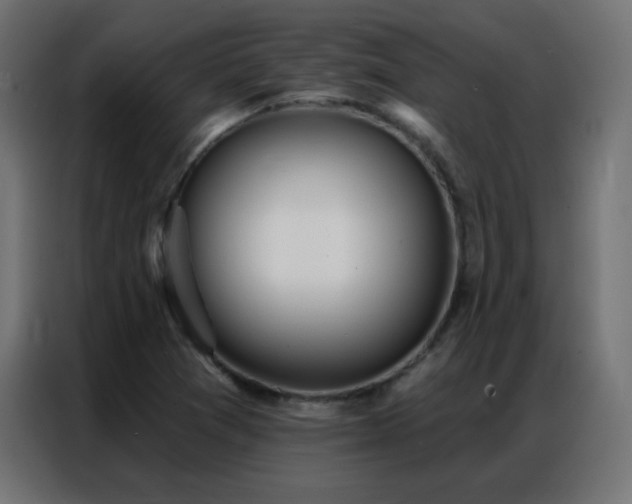 X0000086931361200704161415