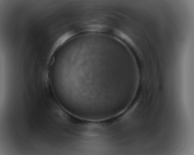 X0000086931362200704161415