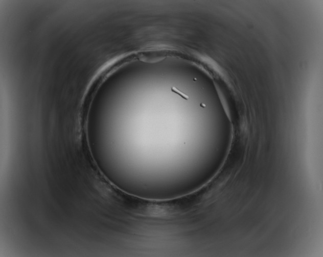 X0000086931364200704161415