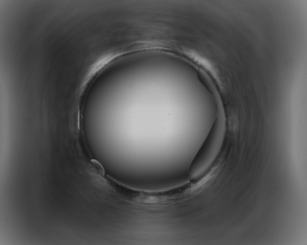 X0000086931365200704161415