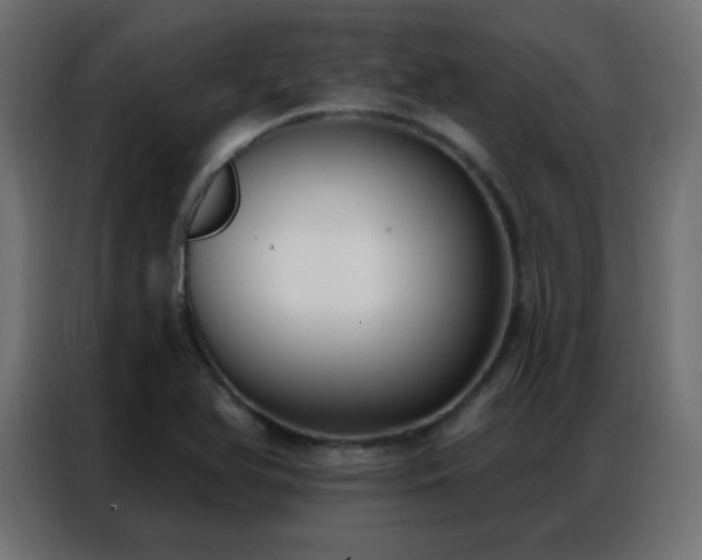 X0000086931366200704161415