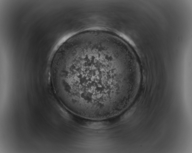 X0000086931367200704161415