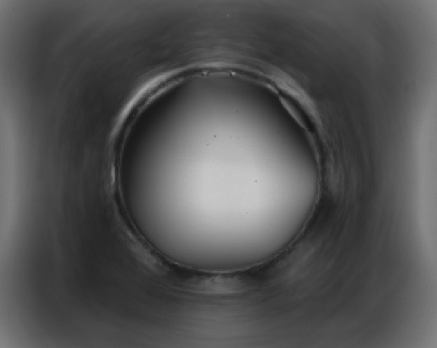 X0000086931368200704161415