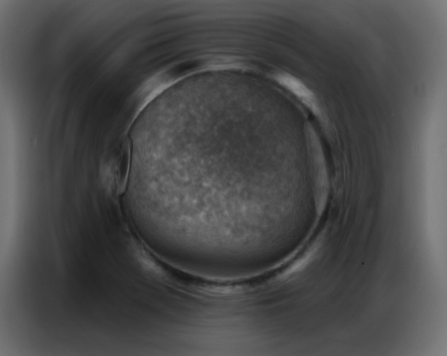 X0000086931369200704161415