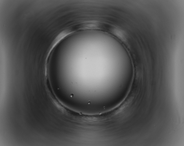 X0000086931370200704161415