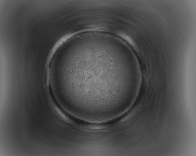 X0000086931371200704161415