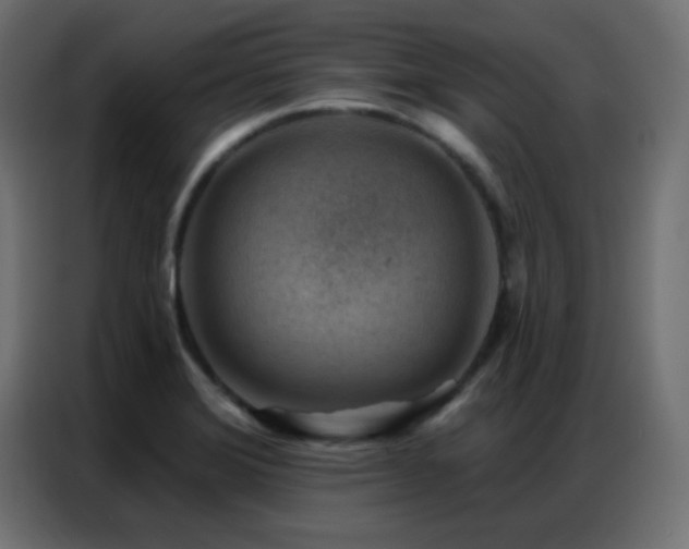 X0000086931372200704161415