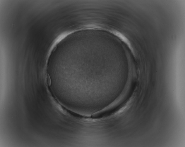 X0000086931373200704161415