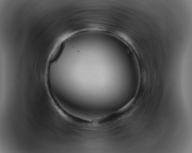 X0000086931379200704161415