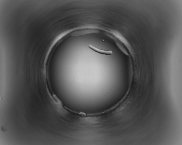 X0000086931380200704161415
