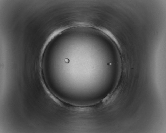 X0000086931381200704161415
