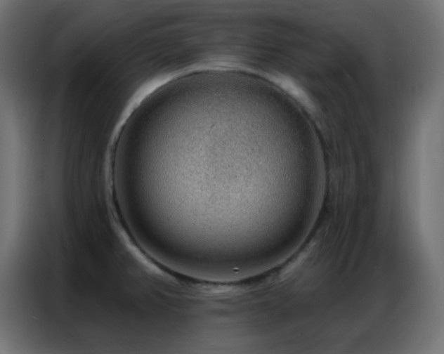 X0000086931382200704161415