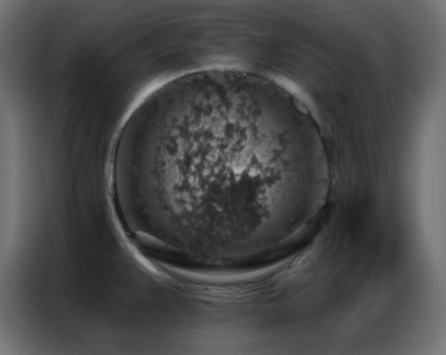 X0000086931383200704161415