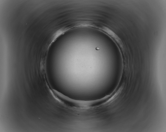 X0000086931385200704161415