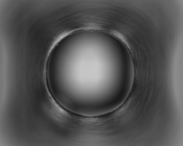 X0000086931387200704161415