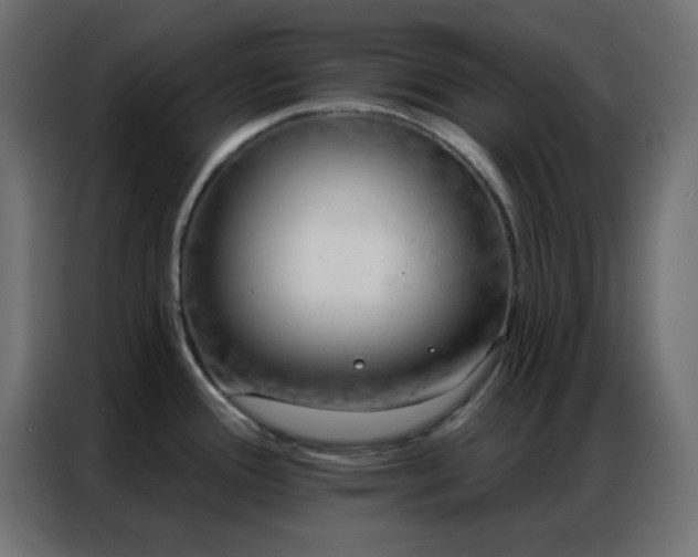 X0000086931388200704161415