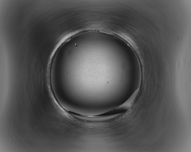 X0000086931392200704161415