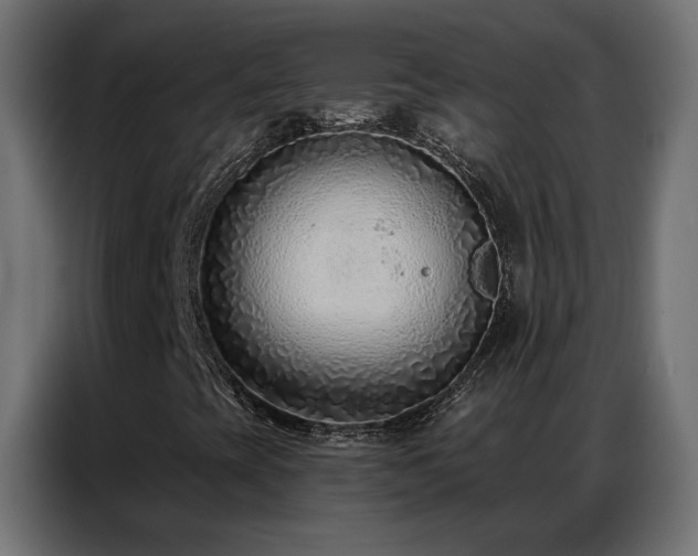 X0000086931393200704161414