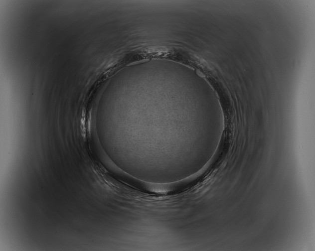 X0000086931394200704161414