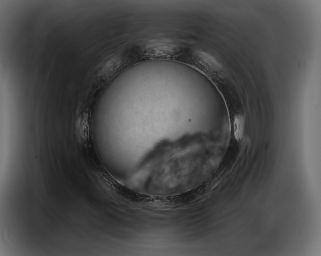 X0000086931395200704161414