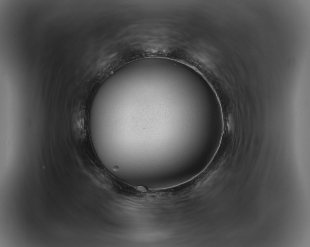 X0000086931396200704161414