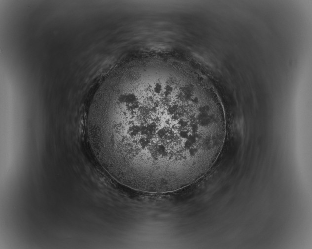 X0000086931397200704161414