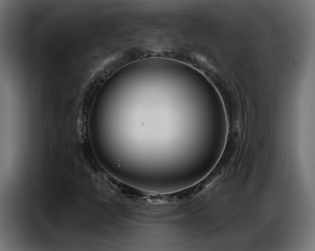 X0000086931398200704161414