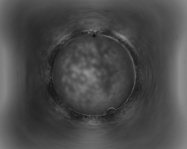 X0000086931399200704161414