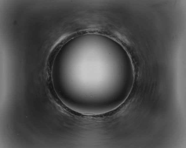 X0000086931400200704161414