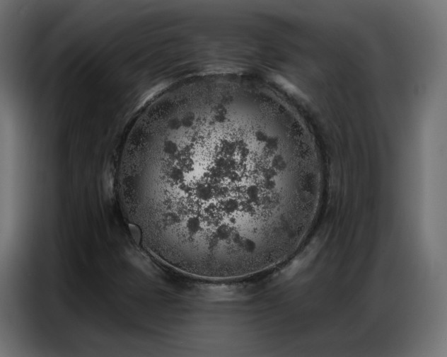 X0000086931401200704161414