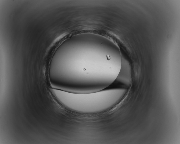 X0000086931402200704161414