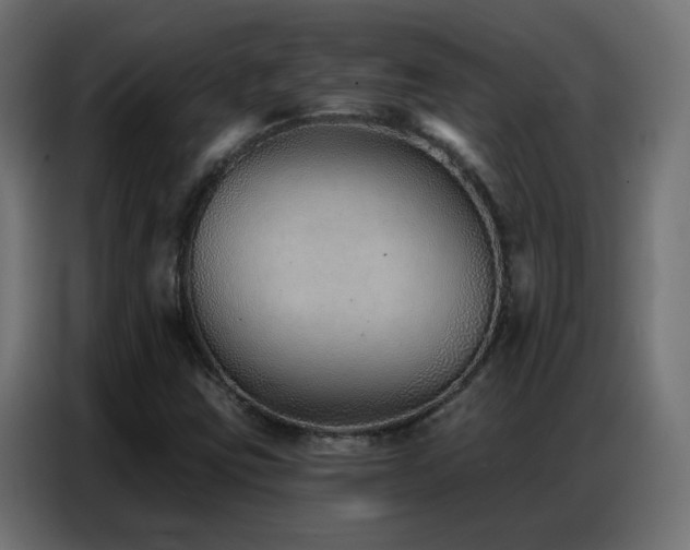 X0000086931403200704161414