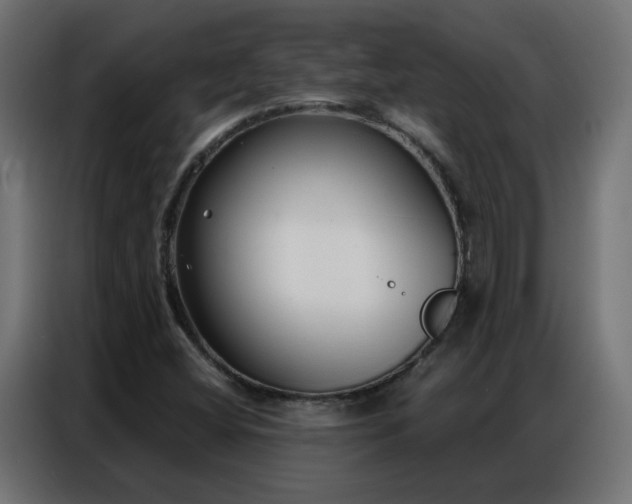X0000086931404200704161414