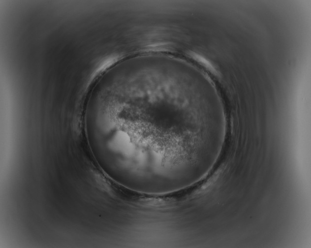 X0000086931405200704161414