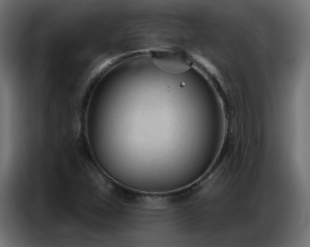 X0000086931407200704161414