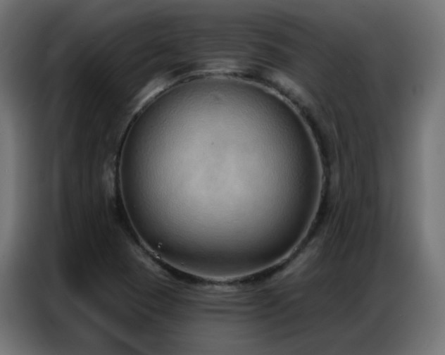 X0000086931409200704161414