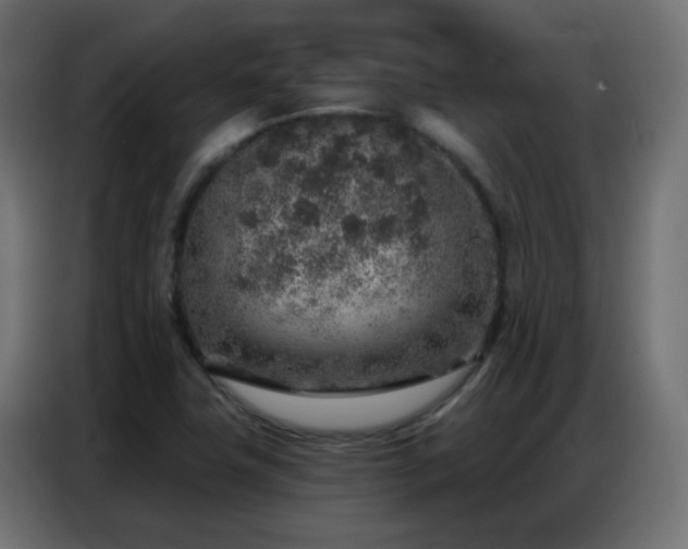 X0000086931411200704161414