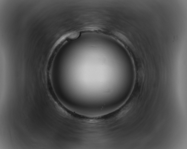 X0000086931412200704161414