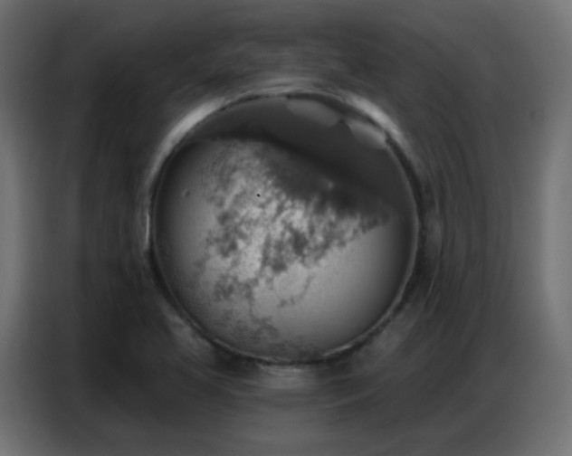 X0000086931413200704161414