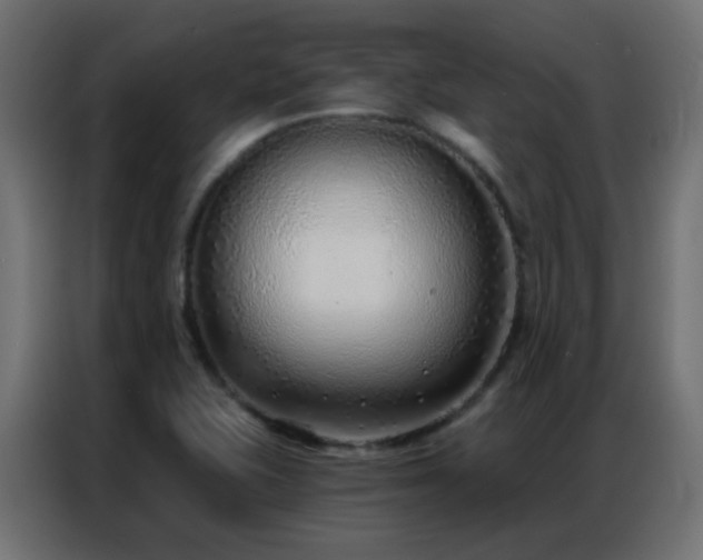 X0000086931415200704161414