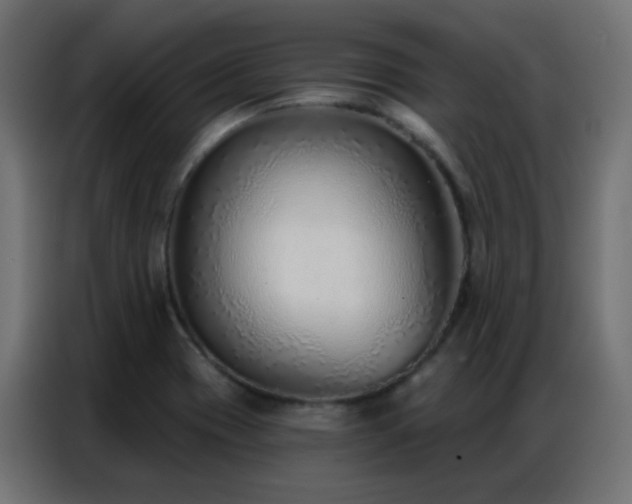 X0000086931417200704161414