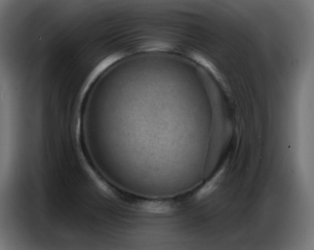 X0000086931418200704161414