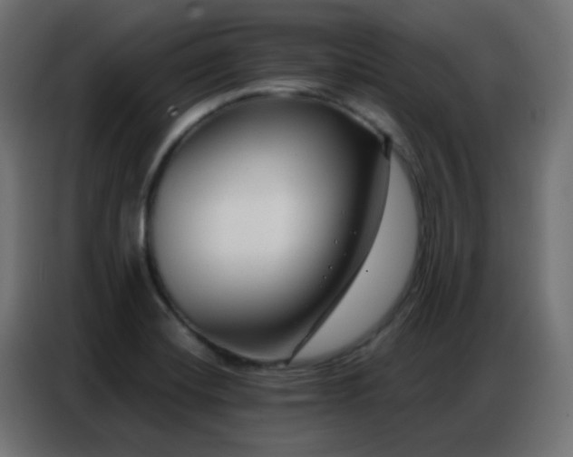 X0000086931420200704161414
