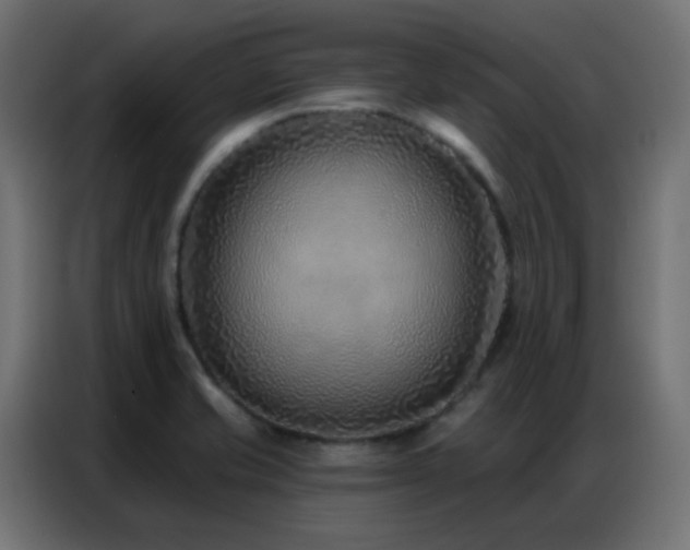 X0000086931421200704161414