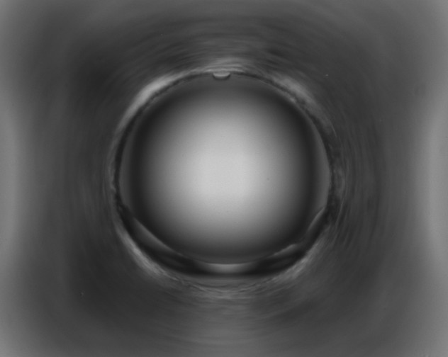 X0000086931422200704161414