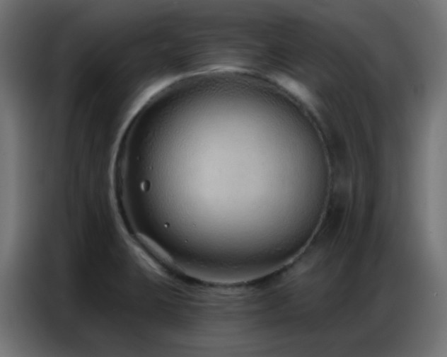 X0000086931423200704161414
