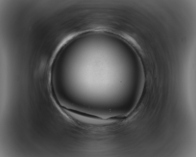 X0000086931424200704161414