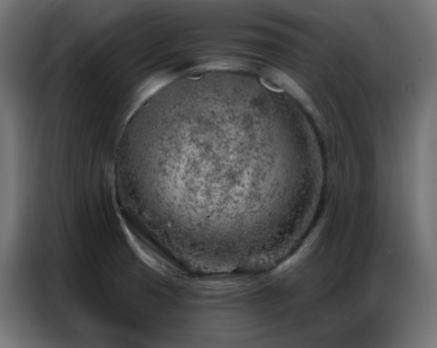 X0000086931425200704161414