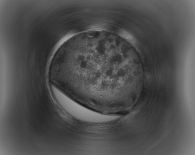 X0000086931427200704161414