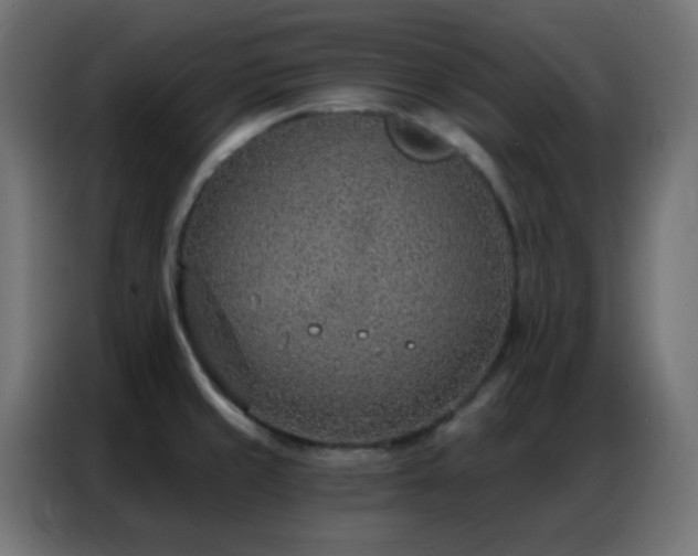 X0000086931429200704161414